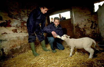 Farming school